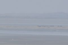 DSC_2388.jpg