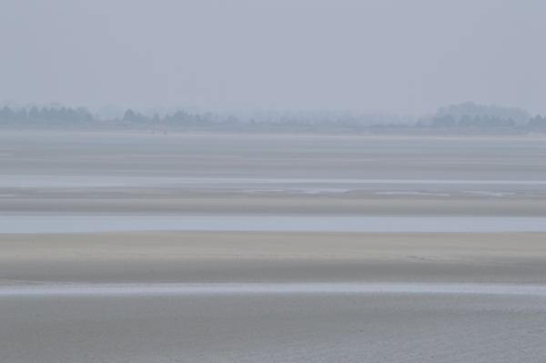 DSC_2397.jpg