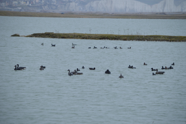 DSC_2578.jpg
