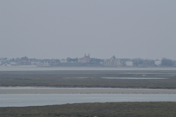 DSC_2593.jpg