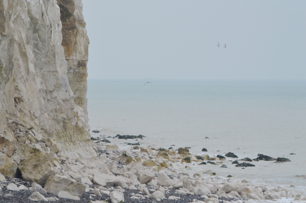 DSC_2623.jpg