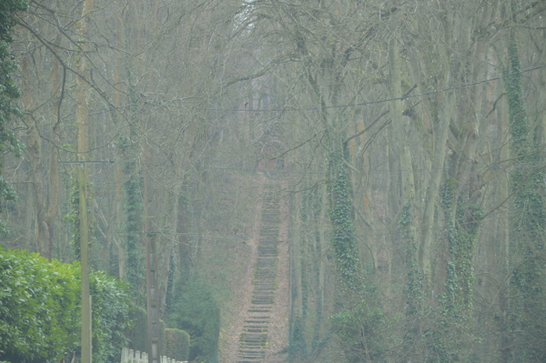 DSC_2628.jpg