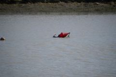 DSC_5465-1.JPG